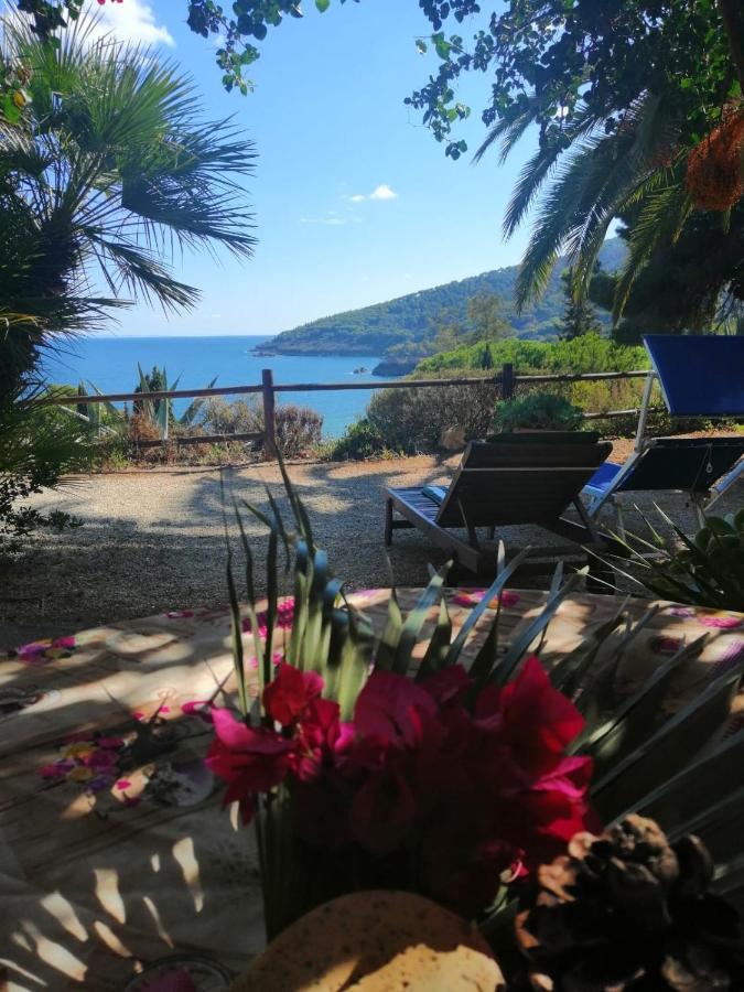 Villa Perla Sul Mare Capoliveri  Eksteriør bilde